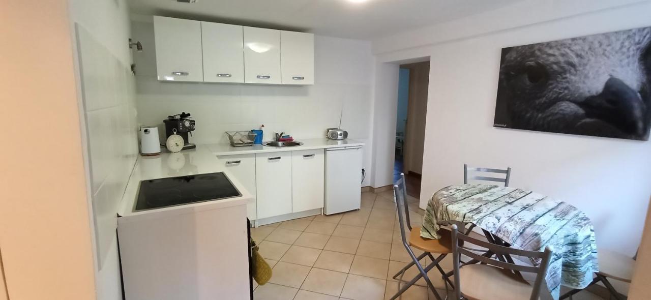 Apartament U Sikorek 옐레니아구라 외부 사진